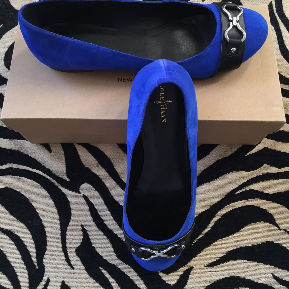 Make a Statement: Blue Cole Haan Ballet Fats